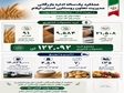  عملکرد اداره بازرگانی مدیریت تعاون روستایی به مناسبت هفته دولت 