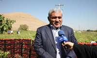 برداشت گوجه‌فرنگی از مزارع آذربایجان‌غربی آغاز شد/ ۵۵۰ هزار تن ظرفیت واحدهای فرآوری رب و پوره گوجه فرنگی در استان