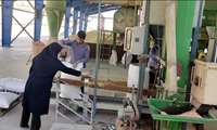  خرید ۷۸۴ تن بذر اصلاح شده گندم و جو در چهارمحال و بختیاری