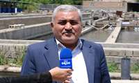 فعالیت ۲۹ کارخانه خوراک دام و طیور و آبزیان در آذربایجان غربی 