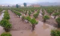 افزایش کمی و کیفی محصولات کشاورزی با نیازسنجی و اجرای اثربخش آموزش