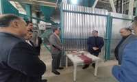 کاهش ۵۰ درصدی قیمت خوراک دام کامل با استفاده از ضایعات کشاورزی