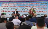 کشاورزی روستاپایه و خرد در کنار زنجیره‌ها راهبرد وزارت جهادکشاورزی است