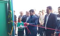 بهره برداری از اولین طرح سه هزار راسی  پرورش گوسفند داشتی پر تولید دو منظوره در ارومیه