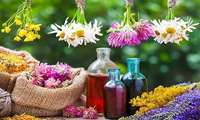 کشت گیاهان دارویی، راهی برای توسعه پایدار در استان چهارمحال وبختیاری