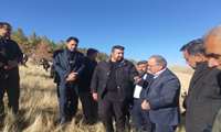 کاشت پنج هزار نهال در استان کرمانشاه به سبب برگزاری پویش در سایه مادر 