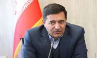 خرید حمایتی دولت؛ کاهش دغدغه مندی تولیدکنندگان دام و طیور