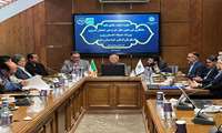 کشت قراردادی زعفران در گرو تقویت زنجیره ارزش زعفران