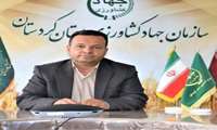 کردستان در رده برتر تولید بذر در کشور/  خرید تضمینی گندم و جو در کردستان آغاز شد