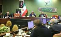 گندم تولیدی کشاورزان به هر میزان از سوی دولت خریداری می‌شود 