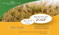 رشد ۱۲۹ درصدی خرید تضمینی گندم در دولت سیزدهم