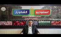 برگزیدگان بخش کشاورزی معرفی می شوند