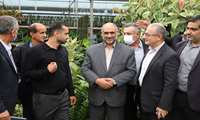 بازدید وزیر جهادکشاورزی از گلخانه مولد وازیک شهرستان محمودآباد
