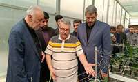بازدید استاندار تهران از گلخانه گل و گیاه زینتی در شهرستان ملارد