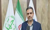 افزایش ۴ درصدی سطح زیر کشت زعفران در تایباد