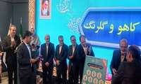دستیابی به ۵۰ درصد خودکفایی تولید بذر سبزی و صیفی در برنامه هفتم توسعه/ سازمان تات از شرکت‌‌های دانش‌بنیان حوزه بذر حمایت می‌کند