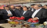 جشنواره‌ای با طعم انار به میزبانی روستای امامزاده شاه سید علی اکبر شهرضا برگزار شد