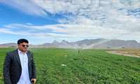 امسال شهرستان خاش، در اجرای سیستم نوین آبیاری رکورد دار شد