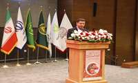 خراسان جنوبی ۹۸ درصد زرشک بی‌دانه جهان را تولید می کند