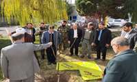 کاشت نهال به مناسبت  گرامیداشت روز جهانی خاک در محوطه سازمان جهاد کشاورزی استان زنجان