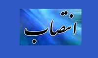  «علیرضا رفیعی‌پور» معاون وزیر و رئیس سازمان دامپزشکی کشور شد