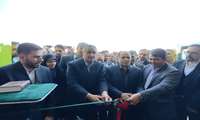 بهره‌برداری از نخستین کارخانه فرآوری خشکبار در رفسنجان