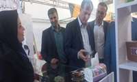 کسب رتبه نخست در صادرات خرما