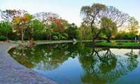 برنامه نوسازی باغات قم در حال اجراست