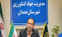 کاشت 215 هکتار کلزا در اراضی شهرستان همدان