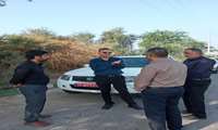 بازدید رئیس سازمان جهاد کشاورزی استان بوشهر از مزارع گوجه فرنگی شهرستان دیر