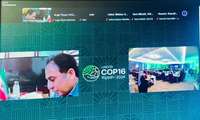 شانزدهمین اجلاس کنوانسیون مقابله با بیابان‌زایی در ریاض برگزار شد/ آمادگی ایران برای کمک به بهبود فرآیندهای پایش تخریب سرزمین در مناطق خشک