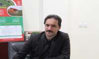  کشت 175 هکتار کلزا در شهرستان در سال زراعی جدید