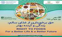 نقش پررنگ سازمان‌ها در ارتقای کیفیت و سلامت محصولات غذایی/ باید به سمت کشاورزی پایدار و پاسخگو حرکت کنیم
