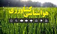 گزارش ویدیویی: کشاورزان محصولات خود را جمع آوری کنند/ تاثیر سرمای هوا بر محصولات کشاورزی