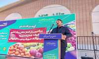 راه‌اندازی بزرگترین بارانداز ماهی اصفهان، تأثیری چشمگیر در کاهش قیمت، افزایش تولید و مصرف آبزیان دارد