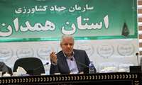 تولید و عرضه مرغ مازاد بر نیاز در همدان ادامه دارد