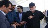 ۳۰۰۰ فرصت شغلی در شهرک مولد کشاورزی استان بوشهر ایجاد شد