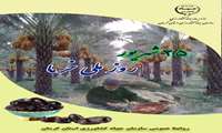 ۲۵ شهریورماه روز ملی خرما گرامی باد