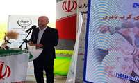 برگزاری آیین شکرگزاری برداشت گندم و آغاز سال زراعی جدید در بروجرد