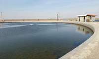بخش کشاورزی قم برای جذب سرمایه‌گذاران آماده‌ است 