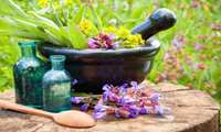 تولید  ۲۴ هزار تُن گیاهان دارویی، گلاب و عرقیات استان اصفهان 