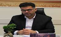 مبارزه با آفت سن گندم در همدان آغاز شد 