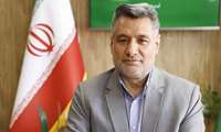 اهمیت مدیریت، بازدیدهای مستمر و پایش دقیق مزارع در پیشگیری از شیوع آفت سن گندم