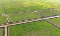 تفسیر 461 پلاک در کمیته تفسیر خوزستان