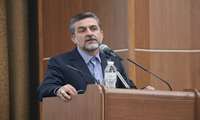 کشاورزی قراردادی، راهی برای آرامش کشاورزان و توسعه صادرات 