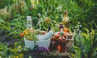 کلکسیون گیاهان دارویی در قم ایجاد شد