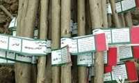 ضرورت ارائه نهال های شناسه‌دار (لیبل دار) توسط تولیدکنندگان و توزیع کنندگان نهال در سطح شهرستان  کاشان
