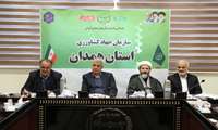 ۳۸ میلیون قطعه مرغ در همدان کشتار شد 