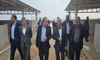پرورش میگوی متراکم گامی به سوی افزایش بهره وری