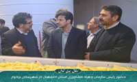 حضور رئیس سازمان جهاد کشاورزی استان اصفهان در ناحیه صنعتی کمشچه شهرستان برخوار استان 